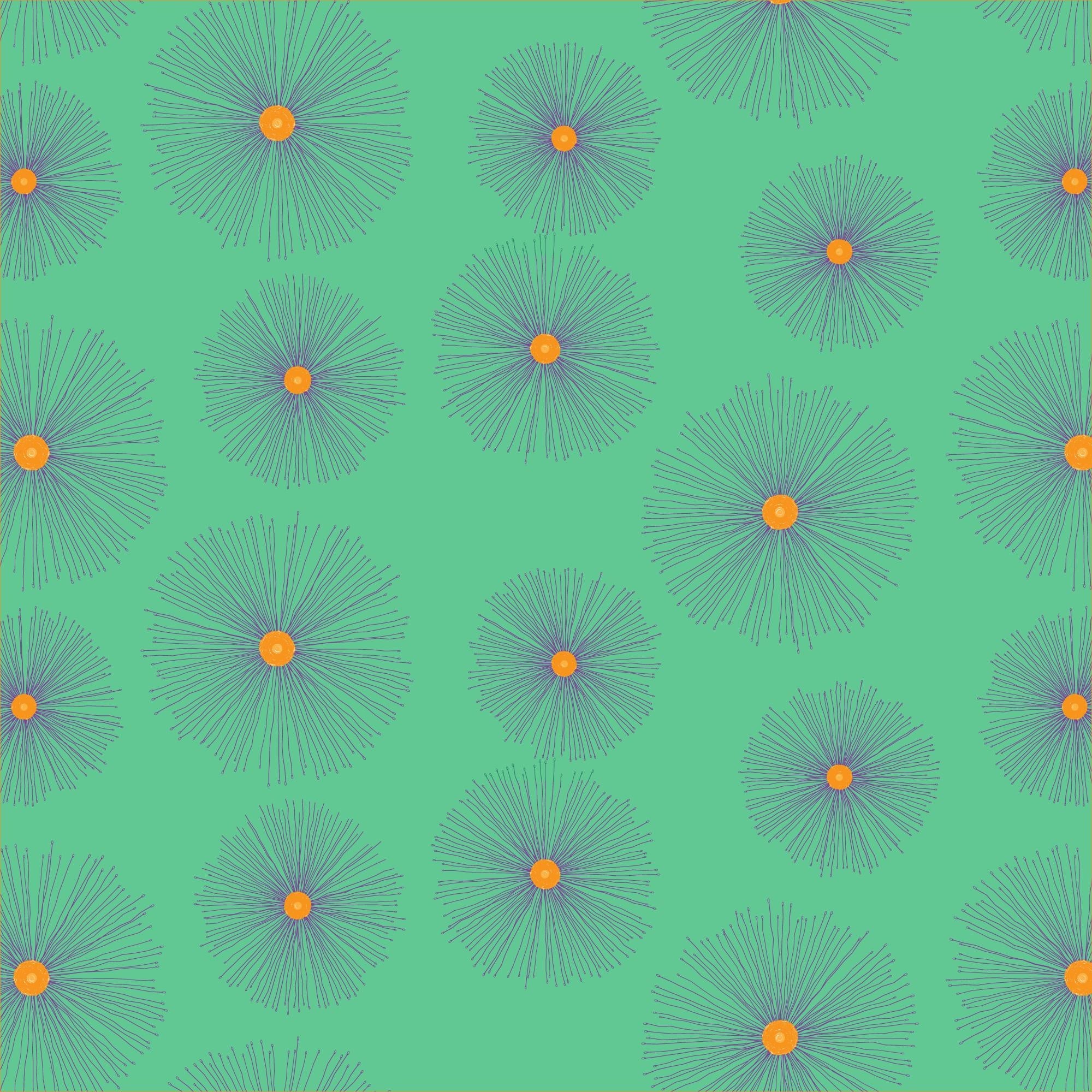more-projects-from-class-img