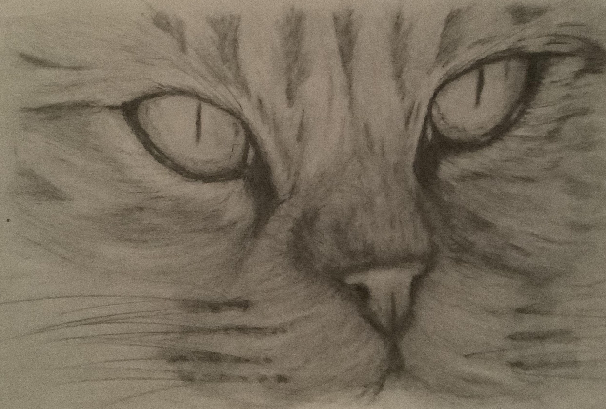 assignment - student project