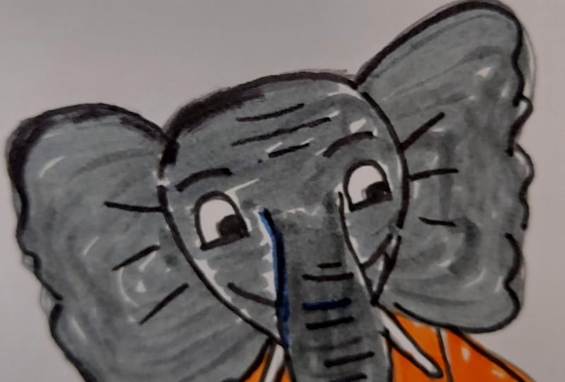 Berna's animals