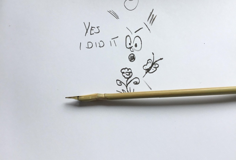 Bamboo pen I.