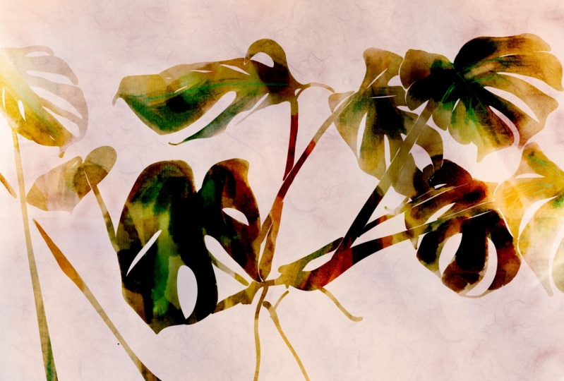 Adobe Illustrator and procreate fake watercolor