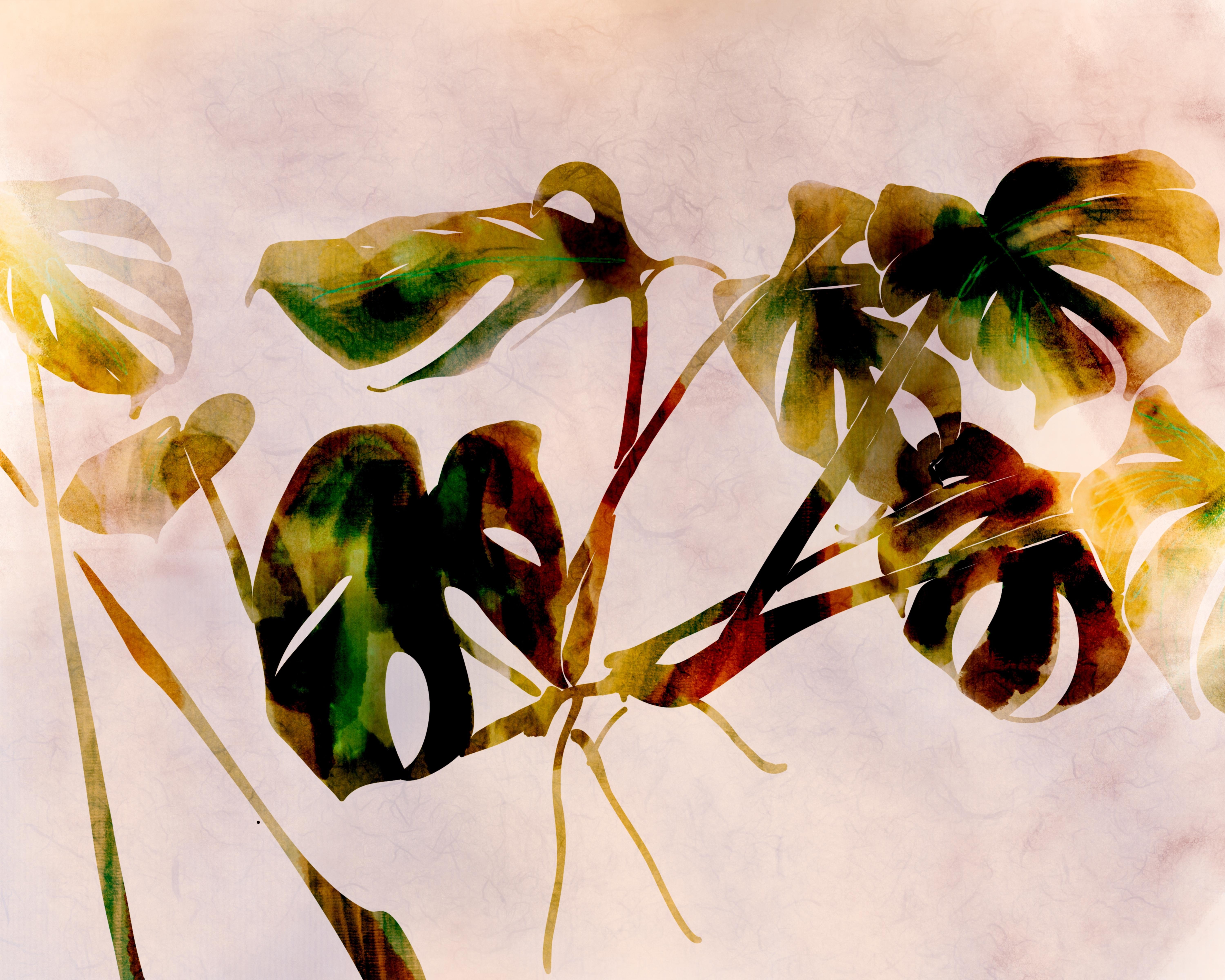 Adobe Illustrator and procreate fake watercolor - student project