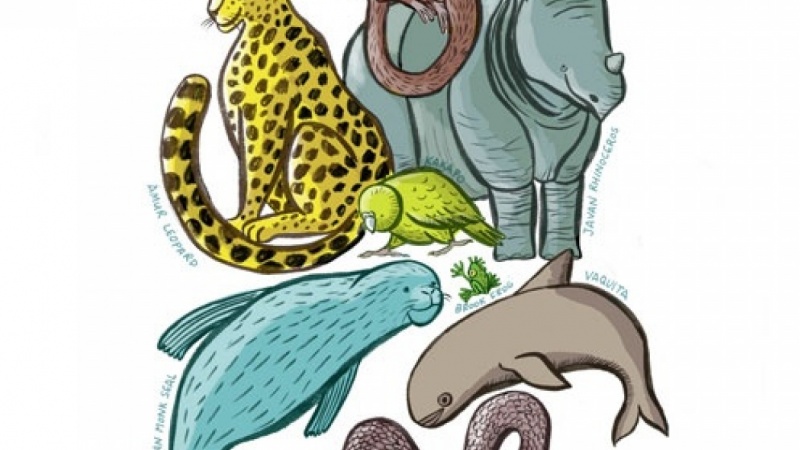 Challenge- National Wildlife Day