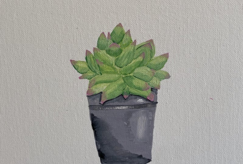 How to Paint Succulents with Acrylic Paint (For Beginners) Meghan