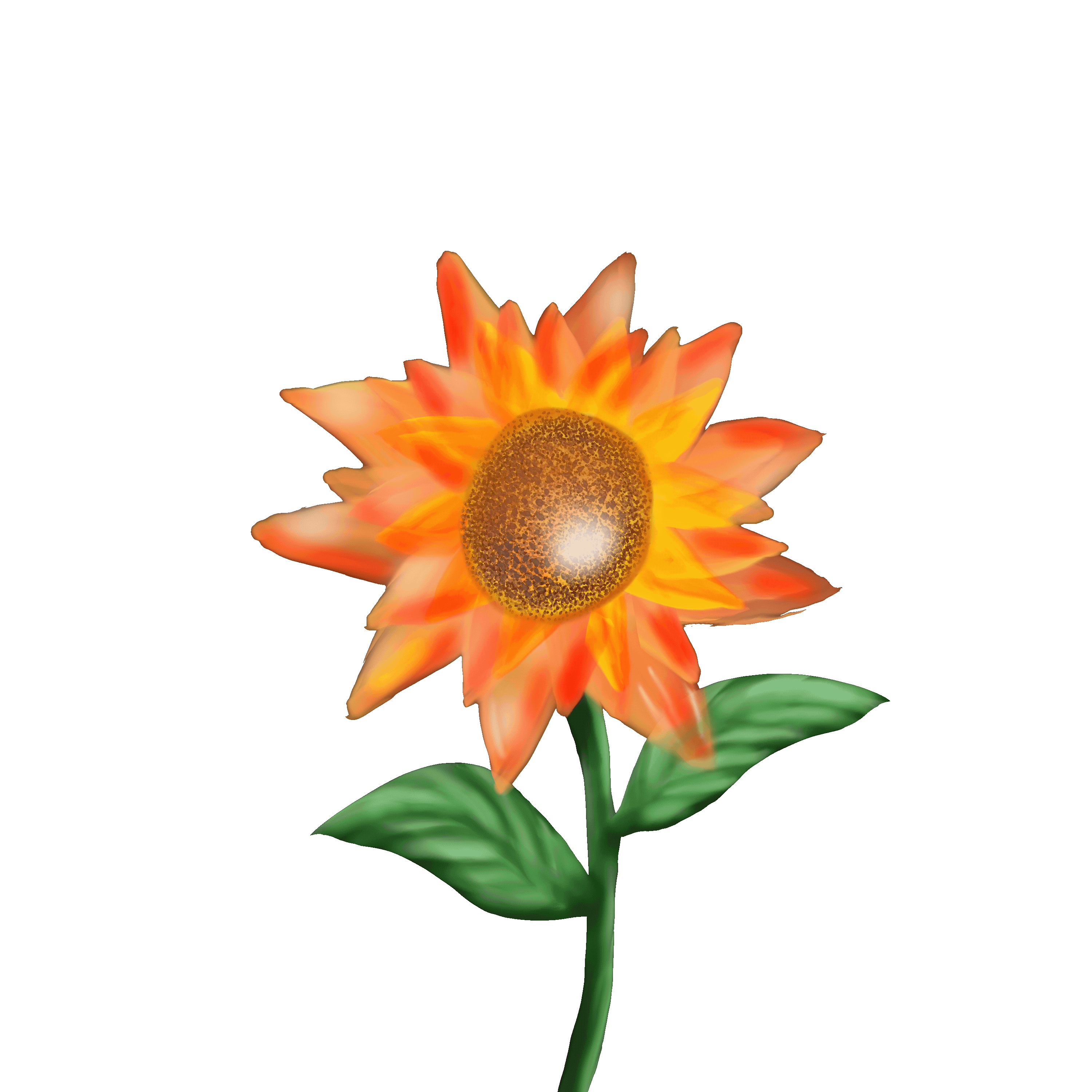Hello Sunshine - student project