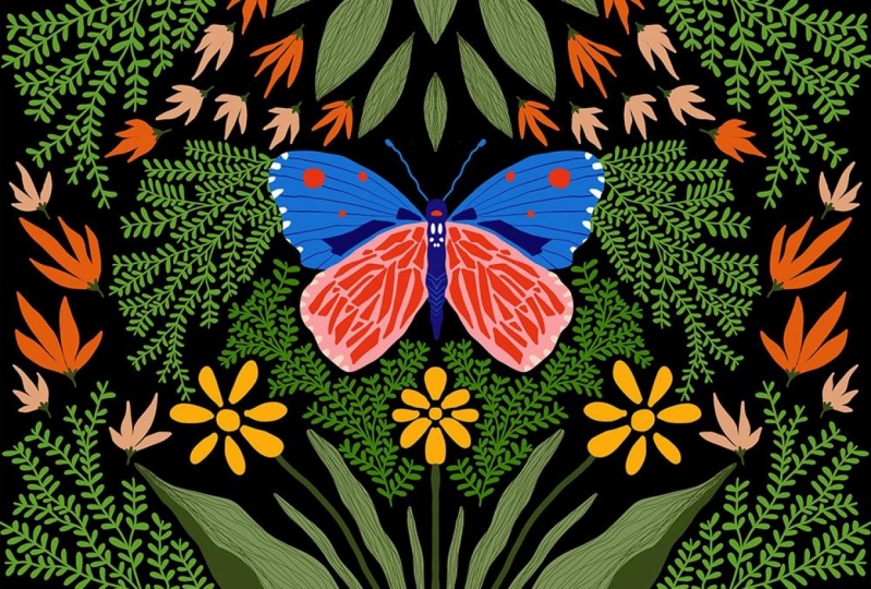 Butterfly in The Garden 1