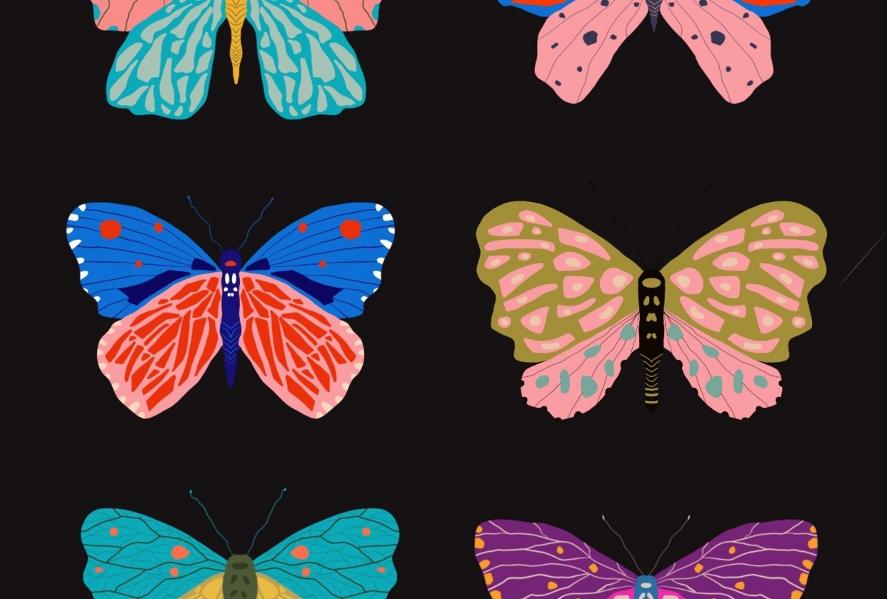 Butterfly - student project