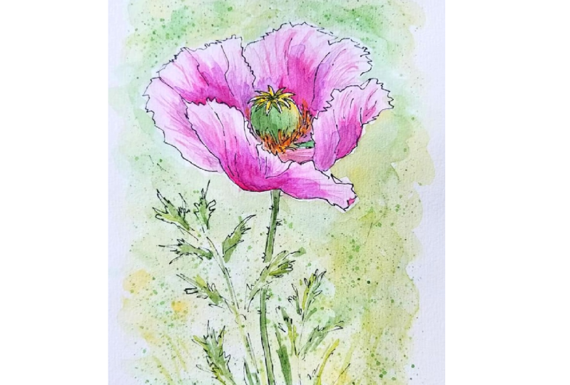 Poppies