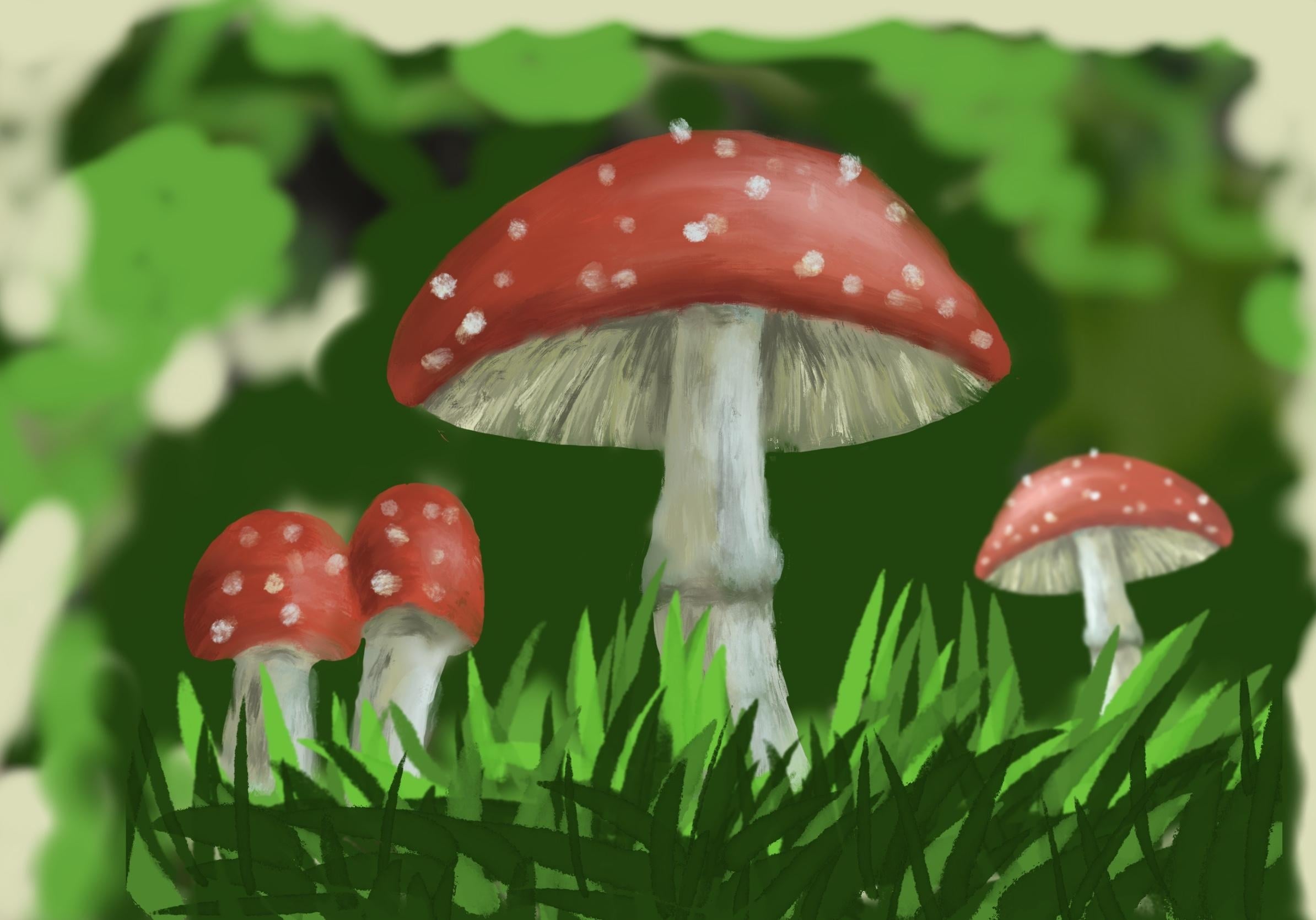 Procreate Mushroom - student project