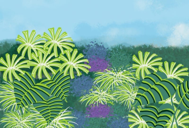 Foliage