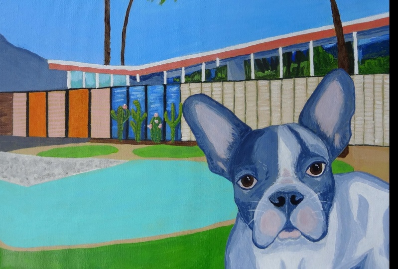 French Bulldog