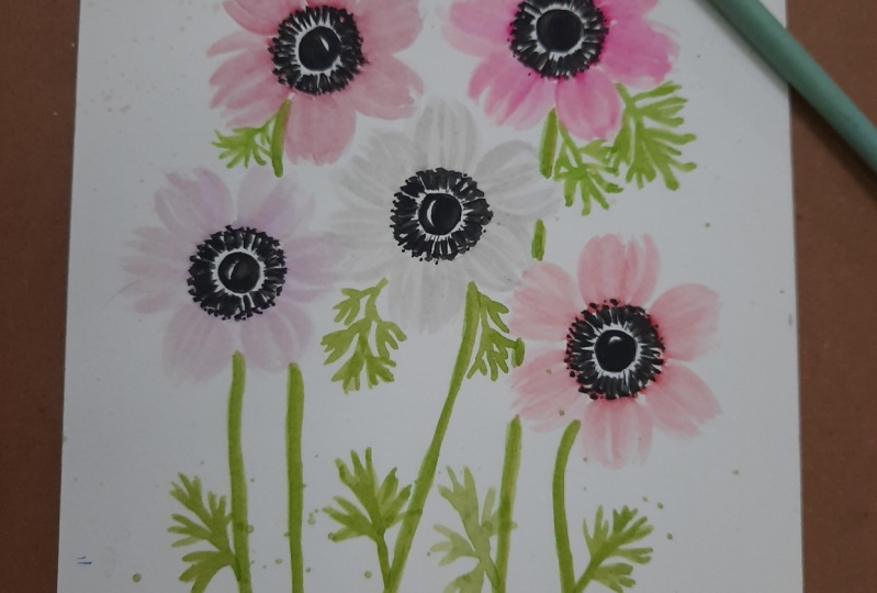 My Anemones