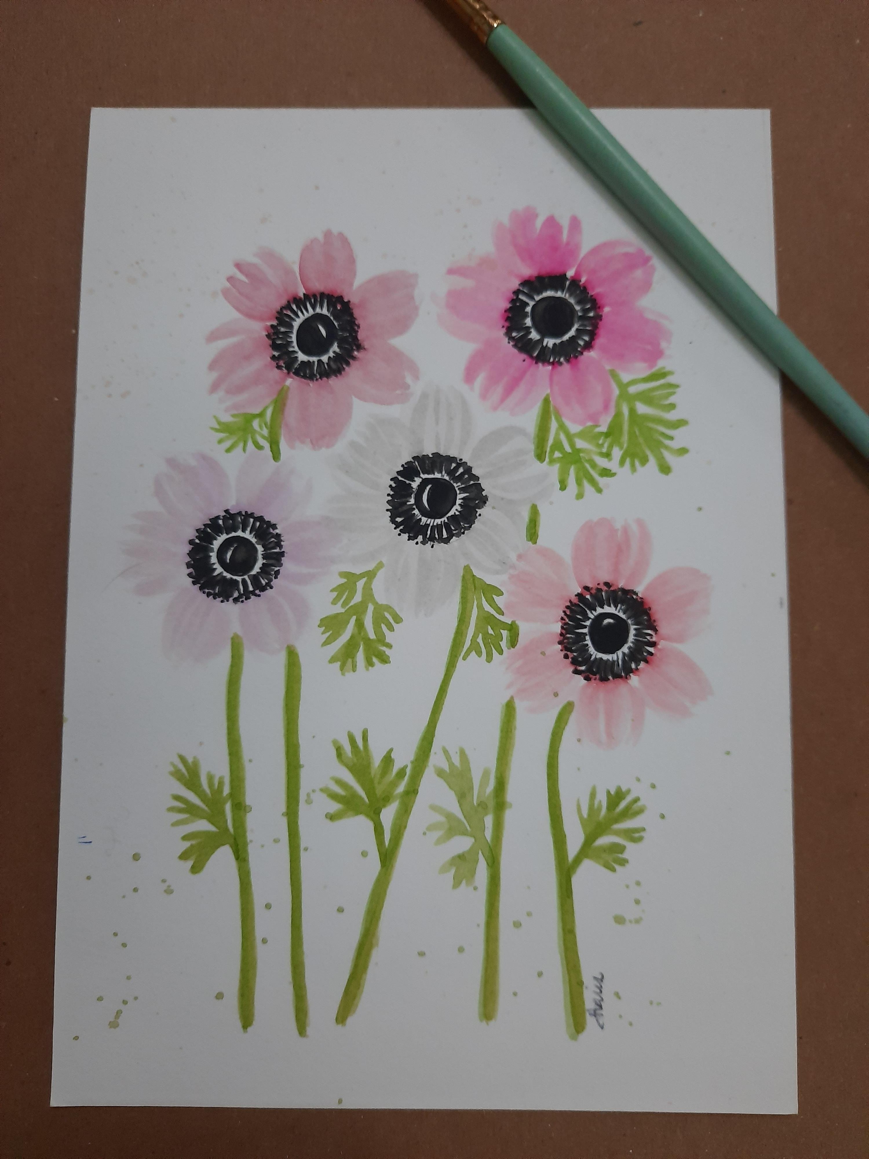 My Anemones - student project