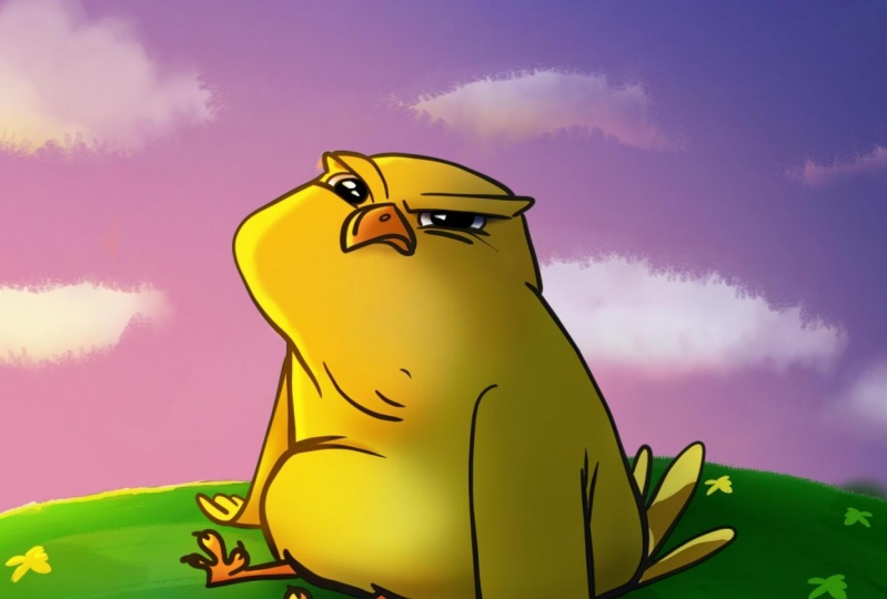 Angry chick.