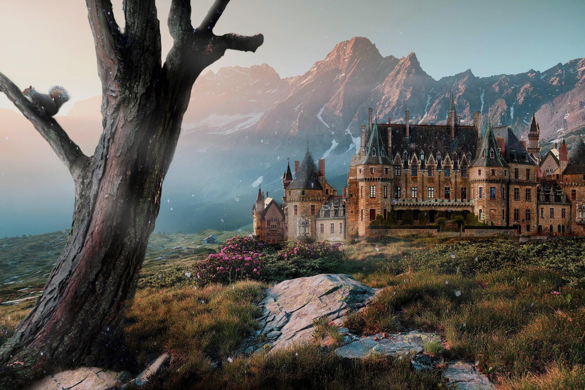 fairytale kind of - student project