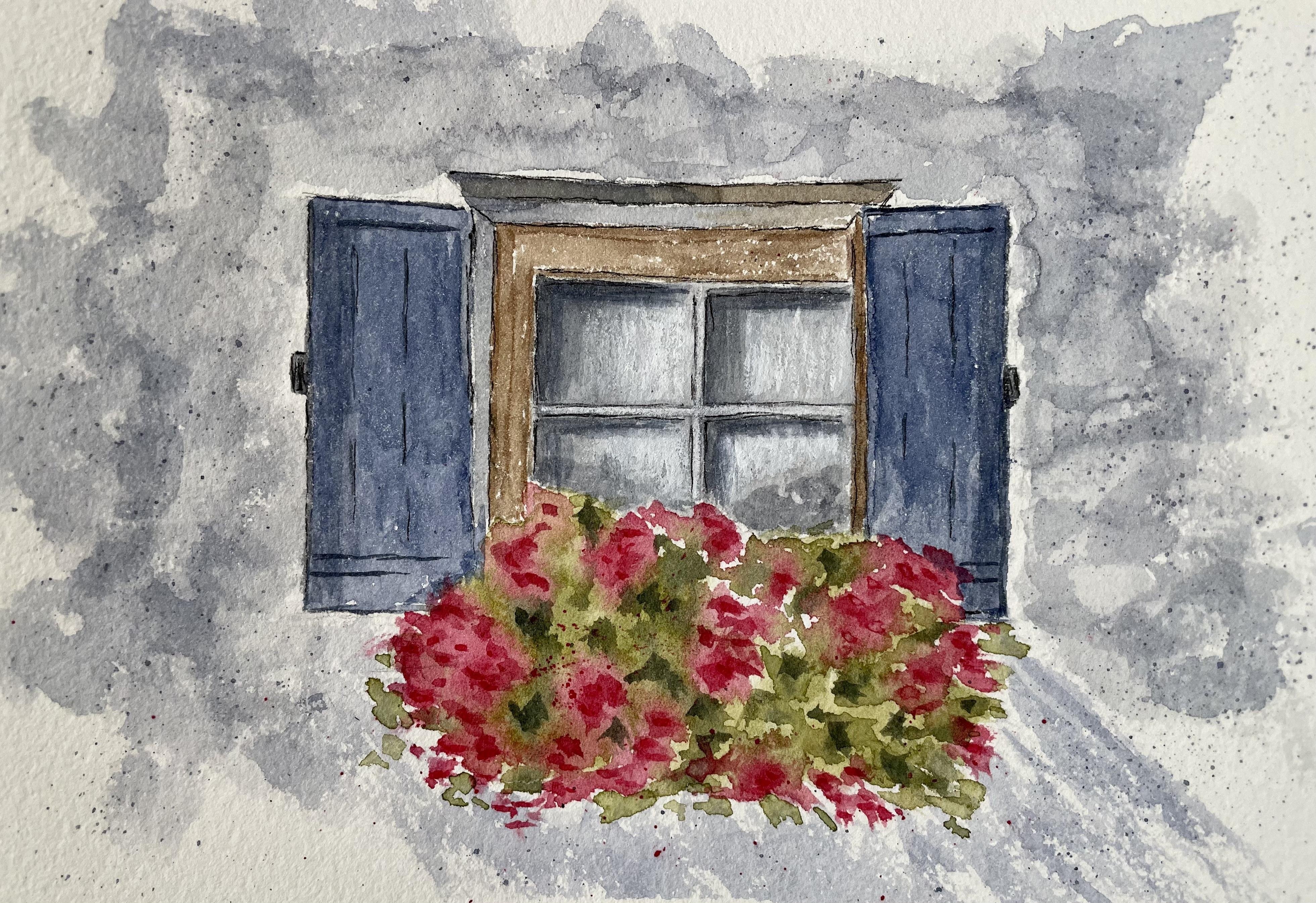 Windows and doors - student project