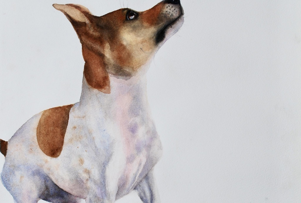 Watercolour Artist - student project