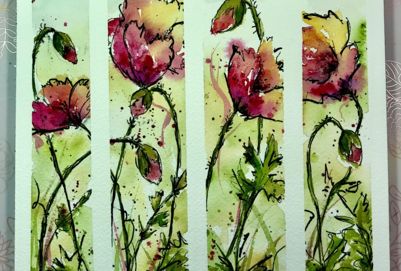 Poppies