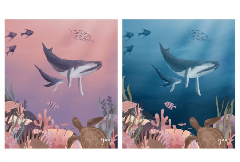 Ocean Inspiration