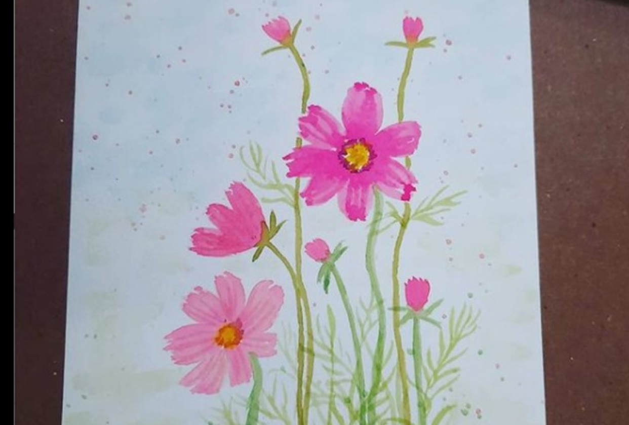 Pink Cosmos - student project