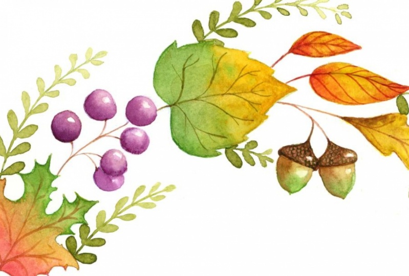 Forest wreath