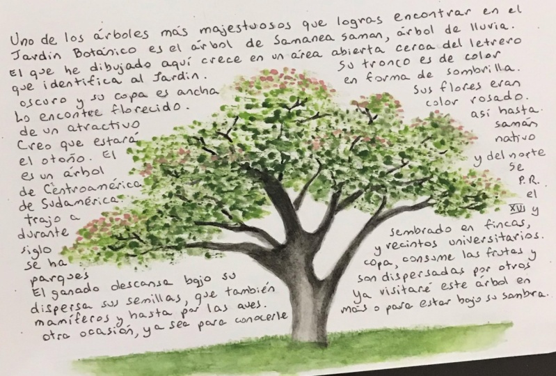 Watercolor + words