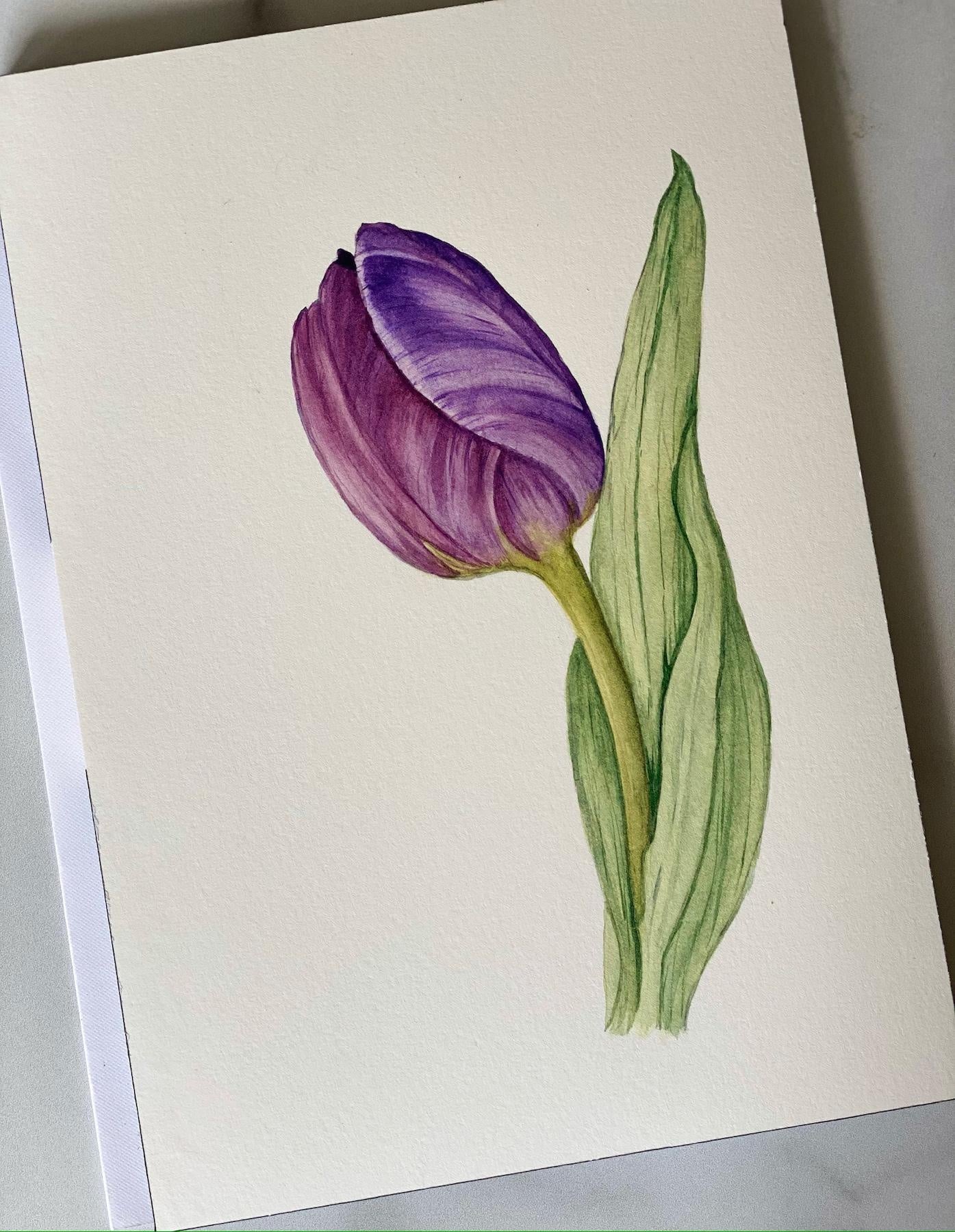 Botanical Tulip Illustration - student project