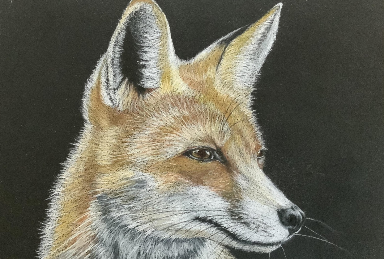 Fox - student project