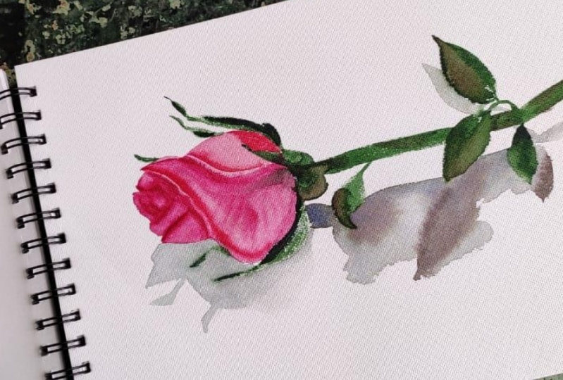 Summer Rose