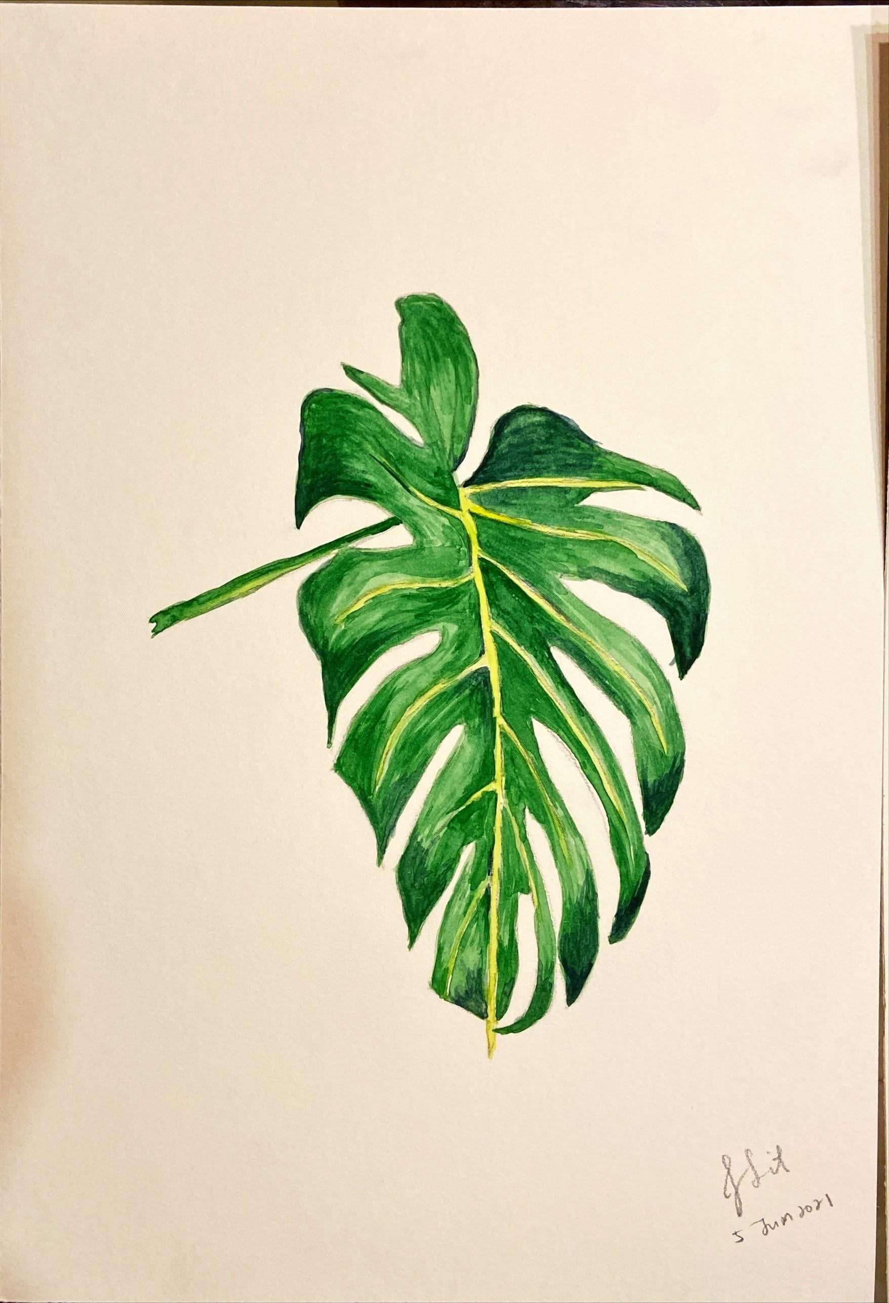 my work - student project