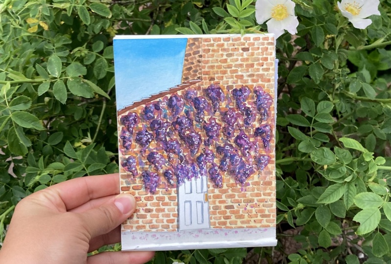 Bricks and Wisteria