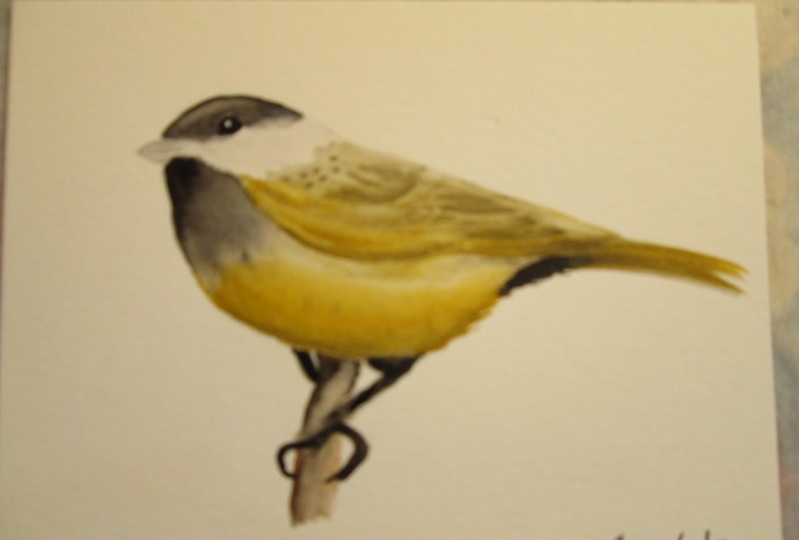 Small Perching Bird