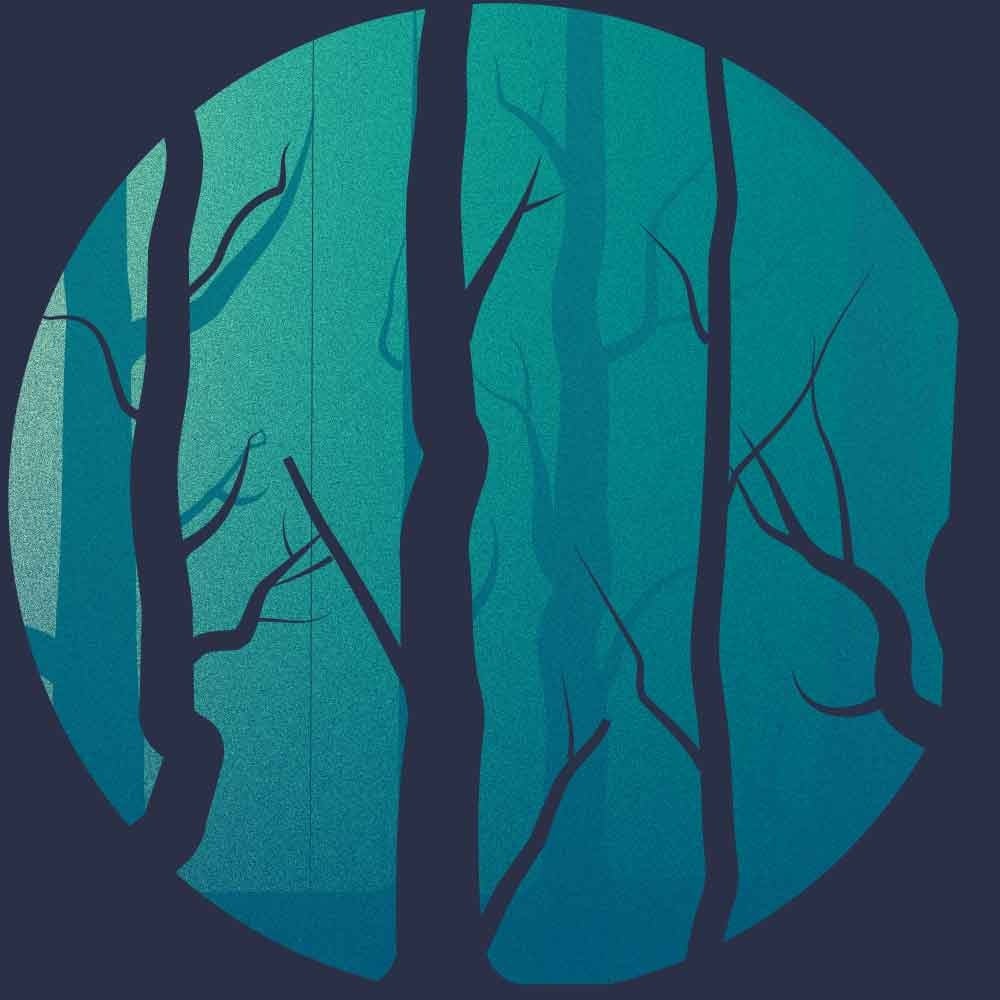 Dark forest - student project