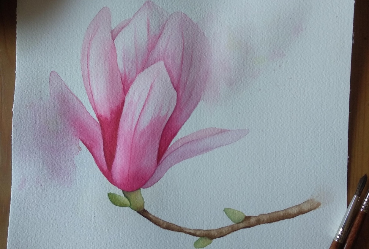Magnolia - student project