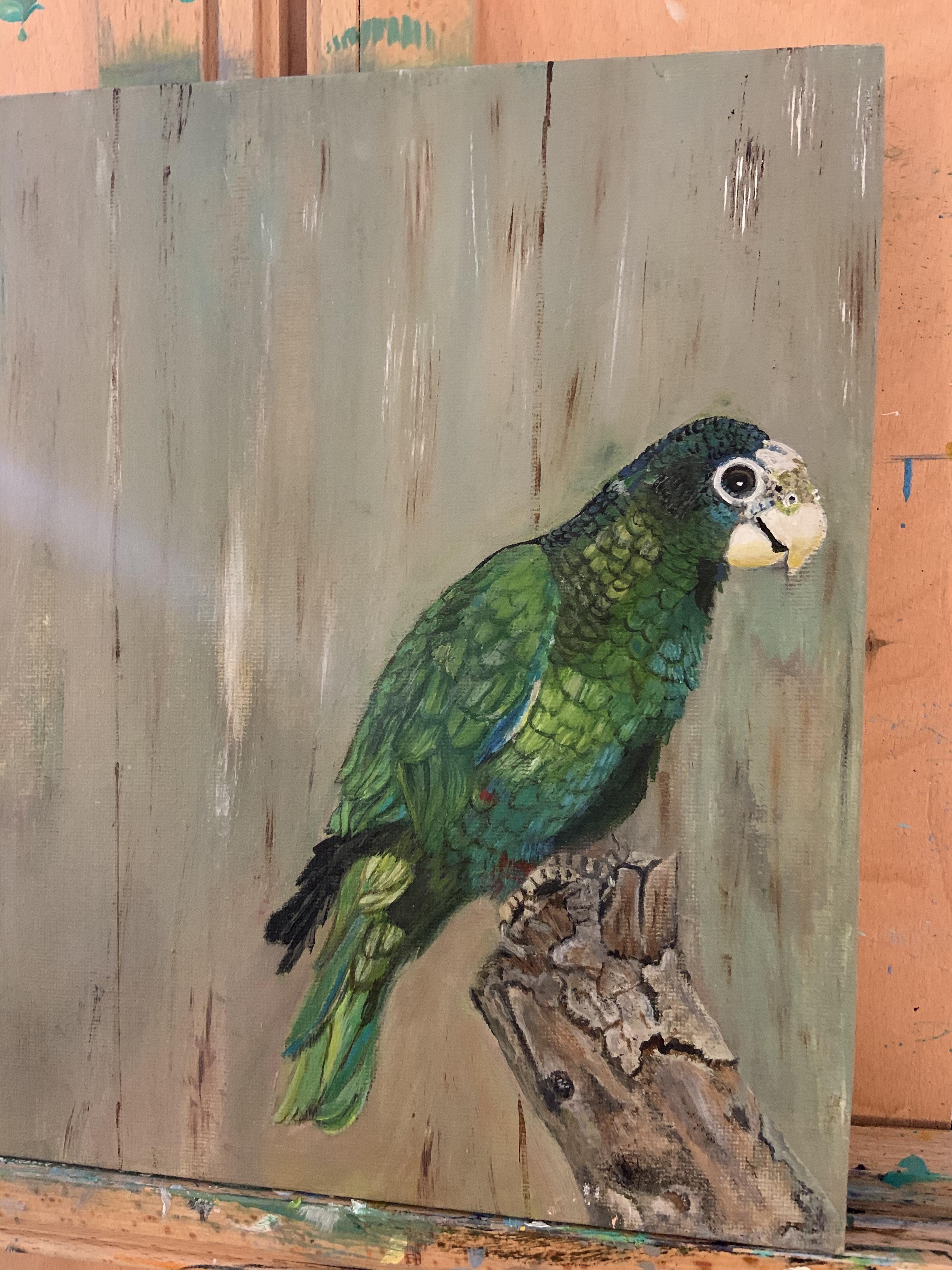 more-projects-from-class-img