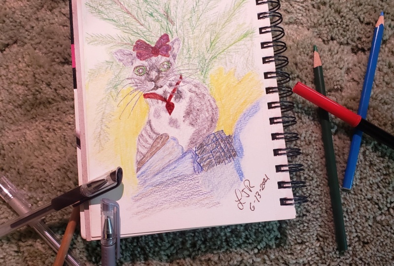 cat with necklace