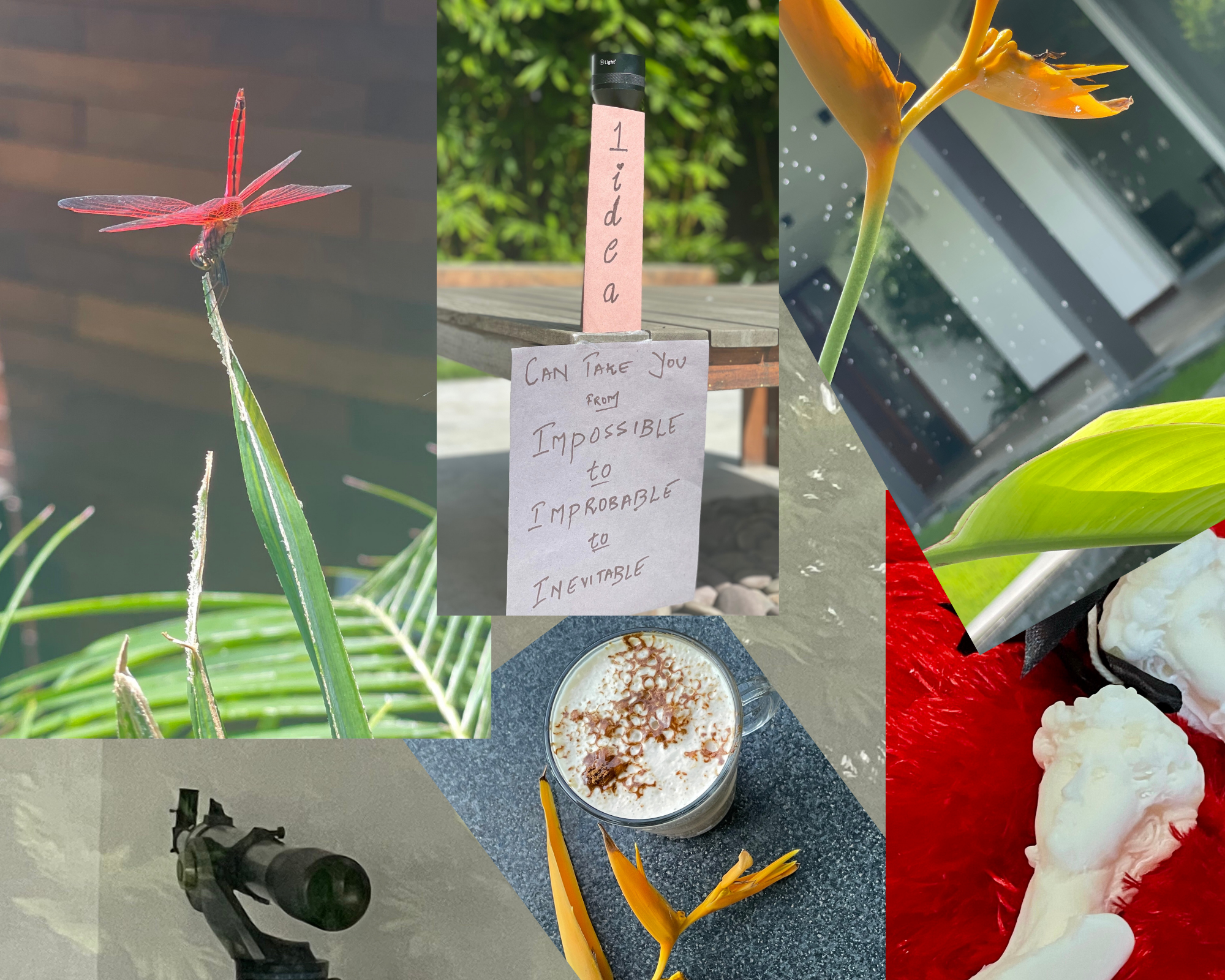 more-projects-from-class-img