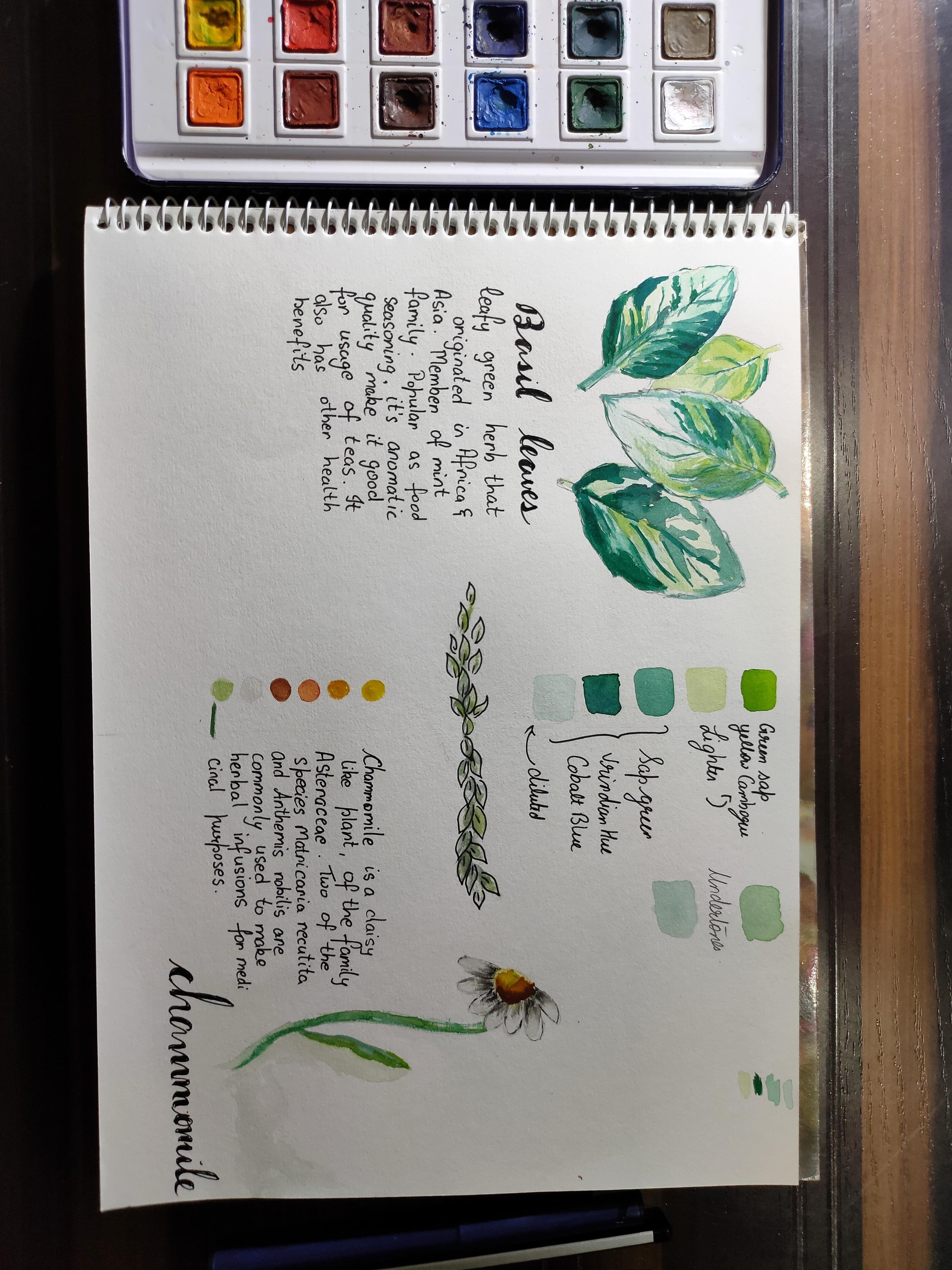 more-projects-from-class-img