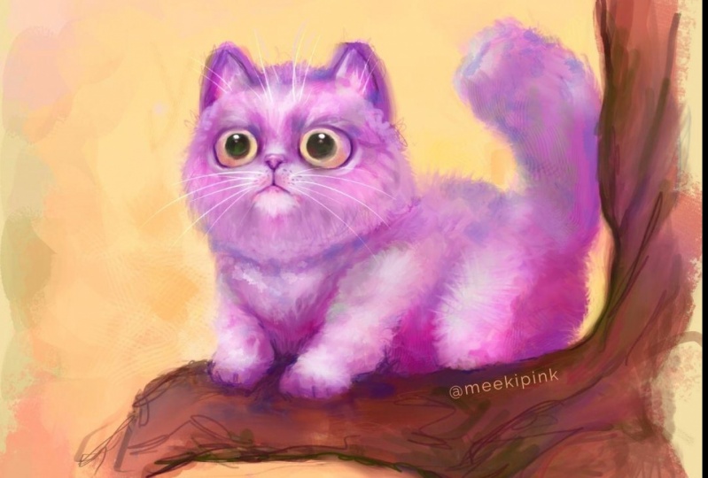 Procreate Homework