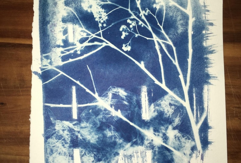 Wet cyanotype