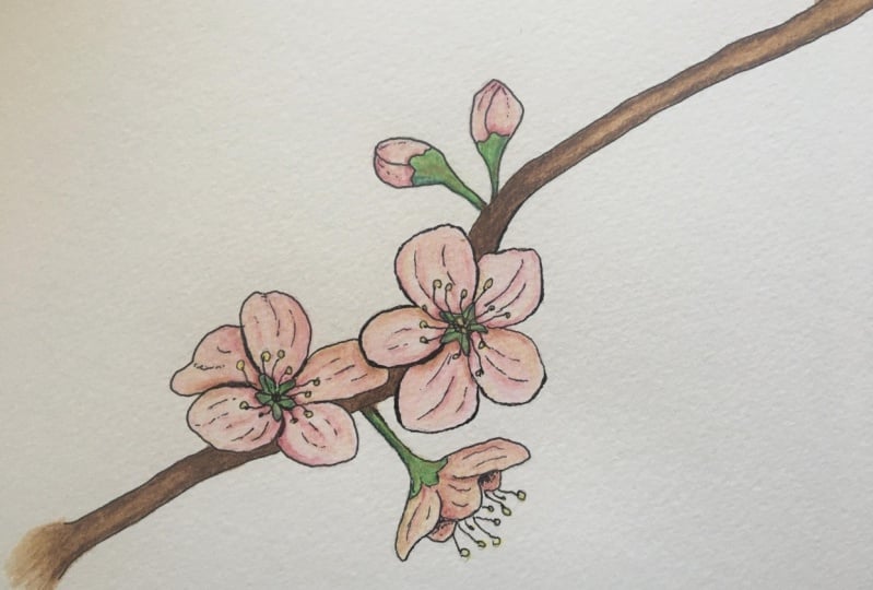 Practice