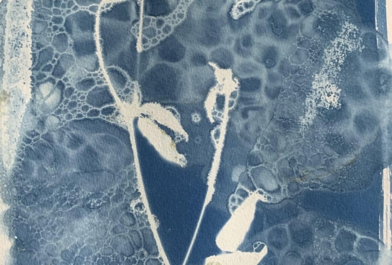 Wet cyanotype