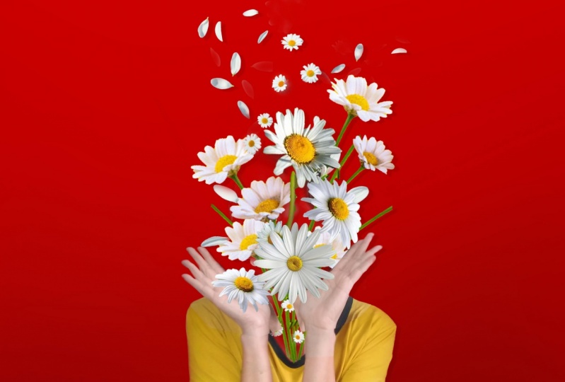 margarida