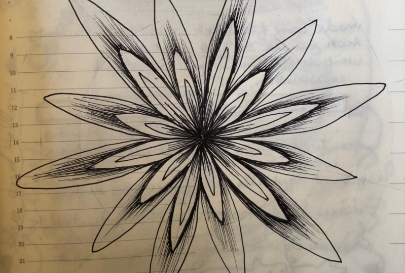 my first set of drawings