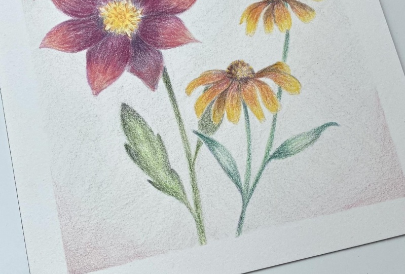 Wild flowers