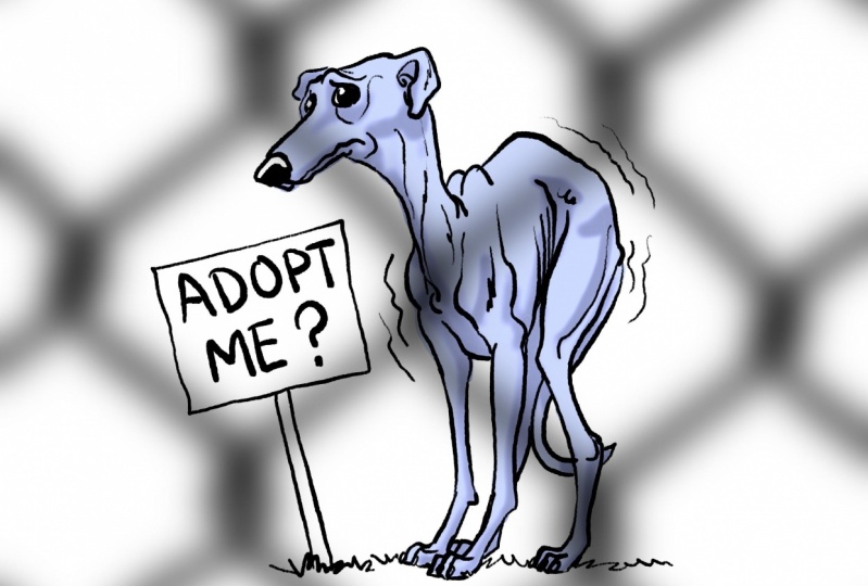 Sad pooch