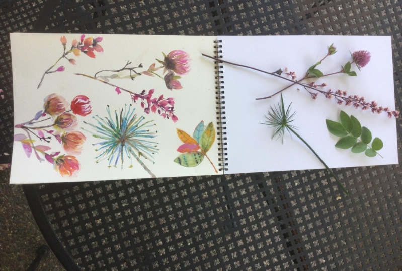 Summer 2021 Botanicals