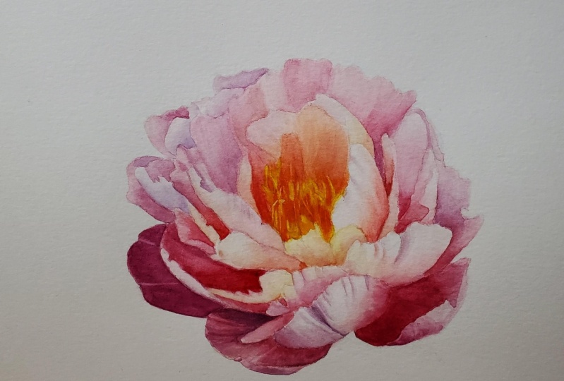 Peony