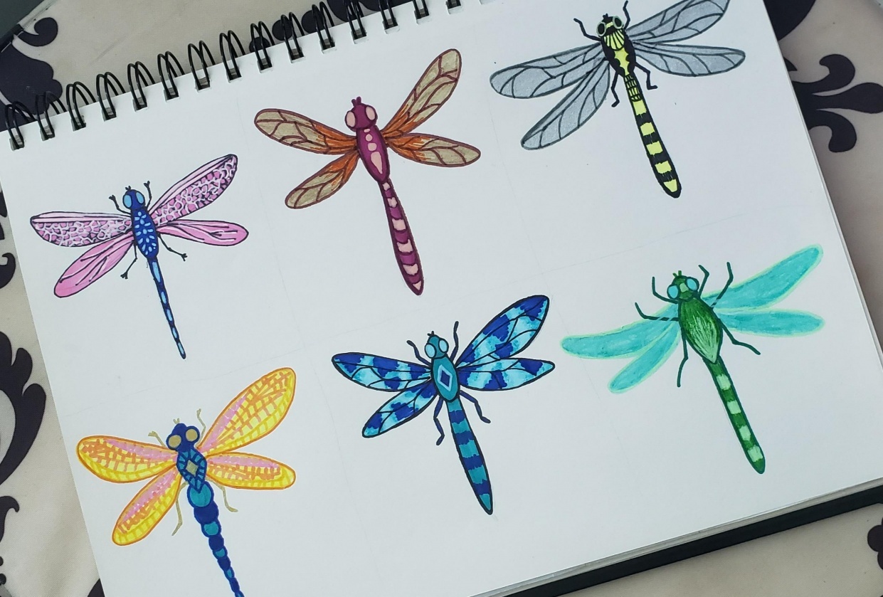 Loved the class! - student project