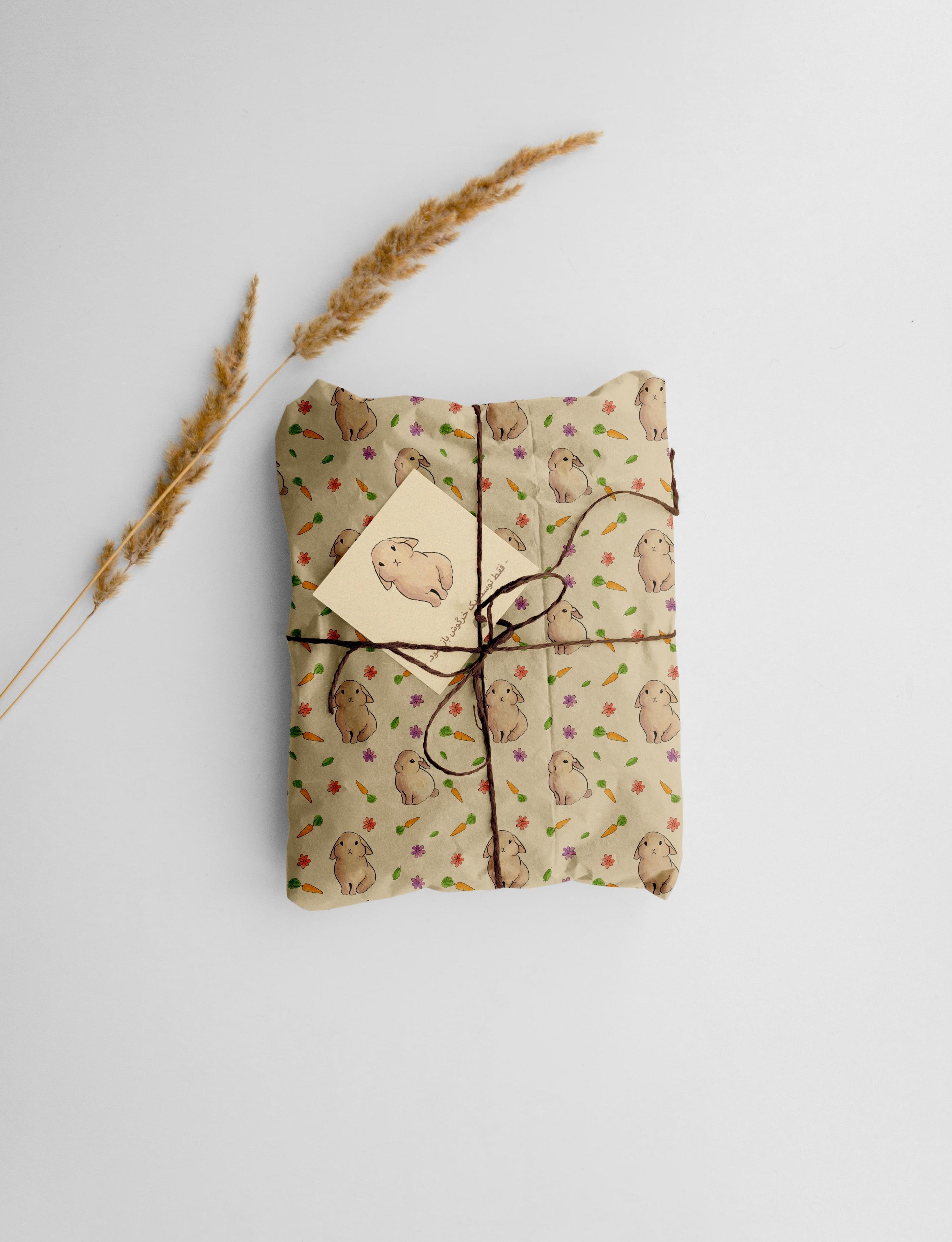 Only Be Opened by a Bunny! - student project